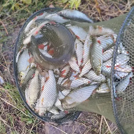 Dom wakacyjny Chatka u Małgosi i Tadka Stegienka