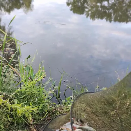 Chatka u Małgosi i Tadka Dom wakacyjny