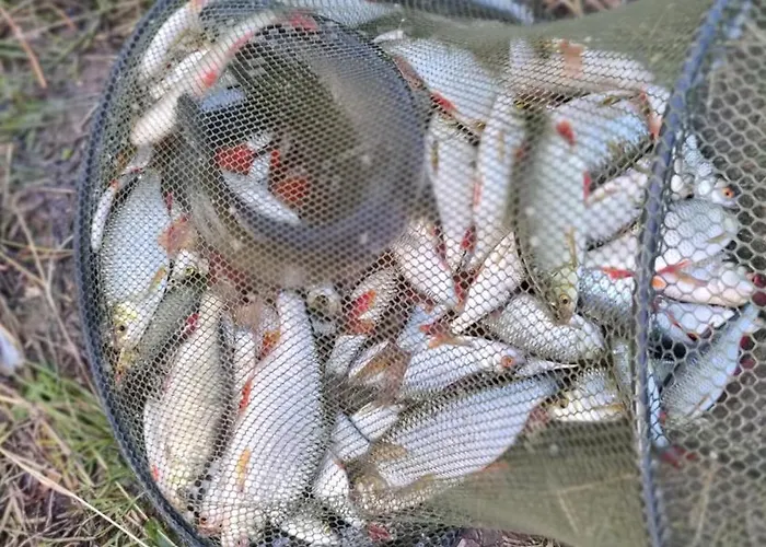 בית נופש Chatka Stegienka