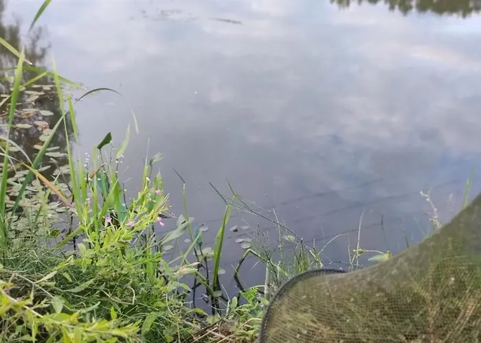 Chatka בית נופש